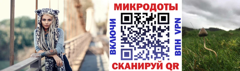 Галлюциногенные грибы Cubensis  площадка клад  Петропавловск-Камчатский 